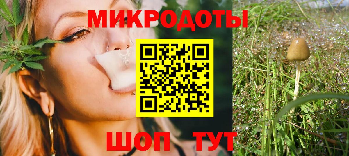 Балашиха  Галлюциногенные грибы Magic Shrooms  цена наркотик  Вход с VPN  Галлюциногенные грибы Psilocybine cubensis 